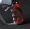 carousel chooser