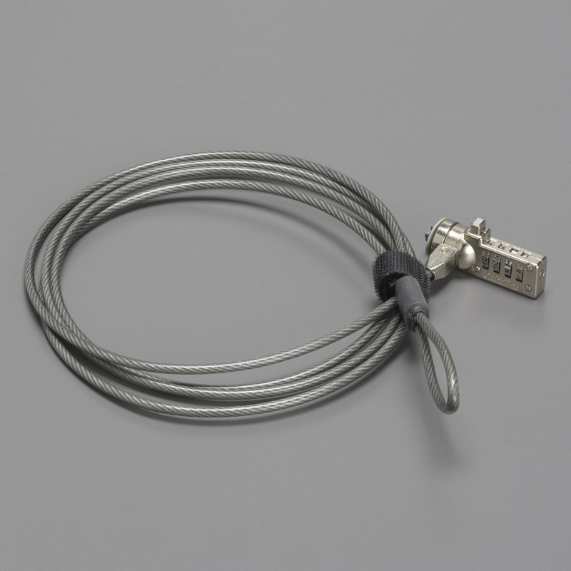 Security Lockdown Devices